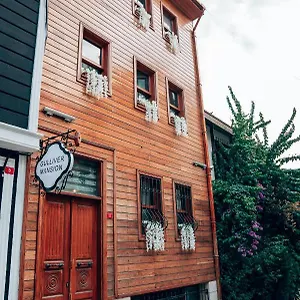 Hotel Gulliver Mansion, Istanbul